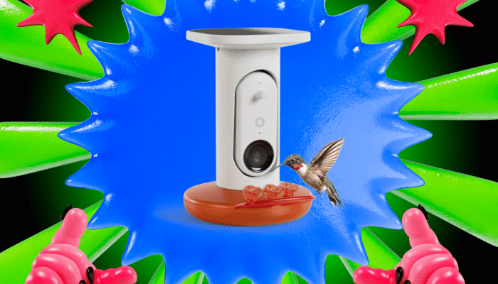 now-is-a-great-time-to-feed-hummingbirds—this-is-my-favorite-feeder-to-see-them-up-close