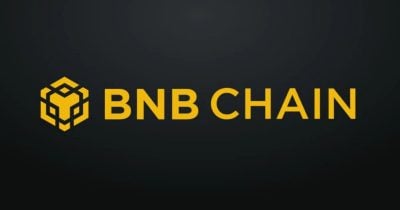 bnb-chain-hits-$5.6m-in-daily-fees,-its-second-highest-level-in-three-years