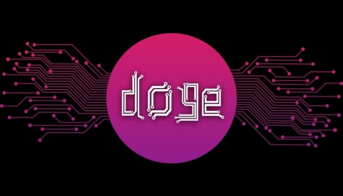 $50-million-injection:-here’s-why-the-dogecoin-price-could-see-an-explosive-rally