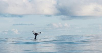 hyperliquid-short-whale-moves-2,000-bitcoin-to-coinbase,-signaling-potential-selling-pressure