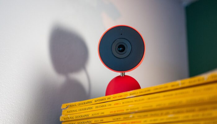 gemini-in-google-home-keeps-mistaking-my-dog-for-a-cat