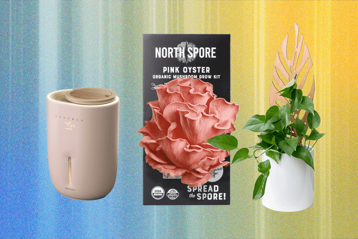 we-tried-and-tested-the-best-gifts-for-plant-lovers-with-our-own-green-thumbs
