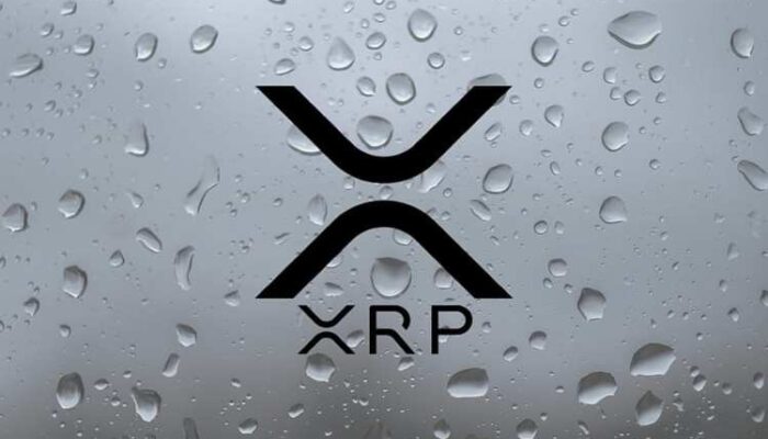 pundit-outlines-the-possibility-of-the-xrp-price-getting-to-$1,000