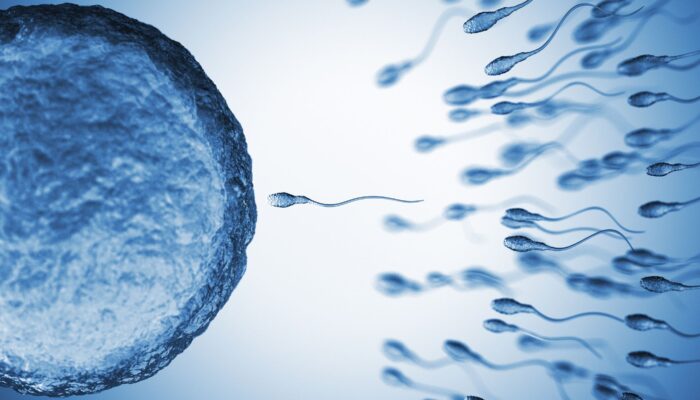 sperm-from-older-men-have-more-genetic-mutations