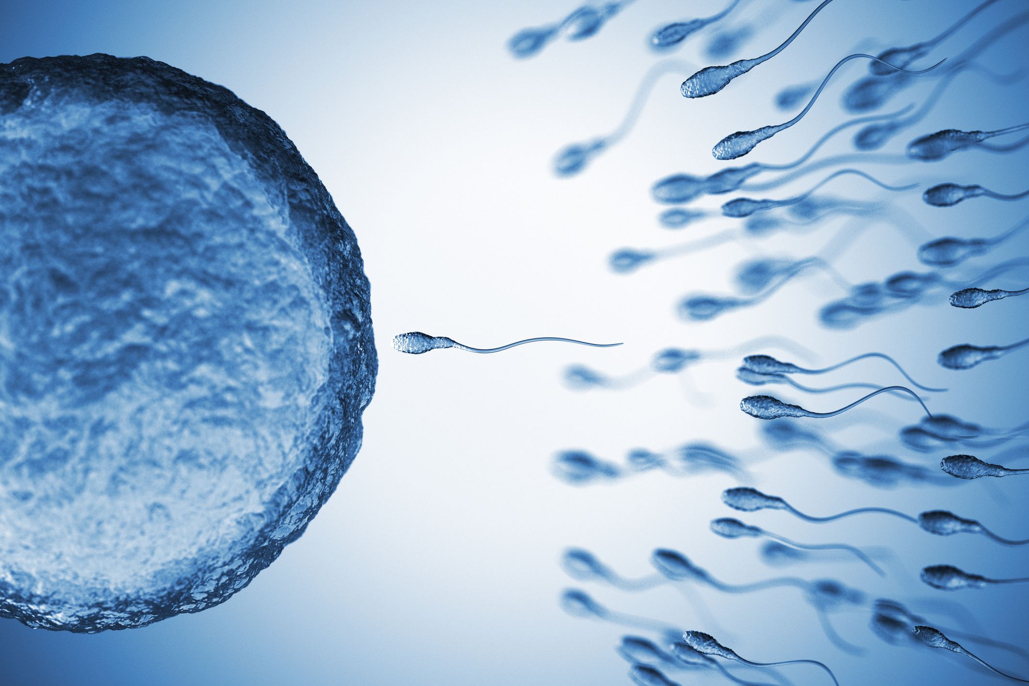 sperm-from-older-men-have-more-genetic-mutations