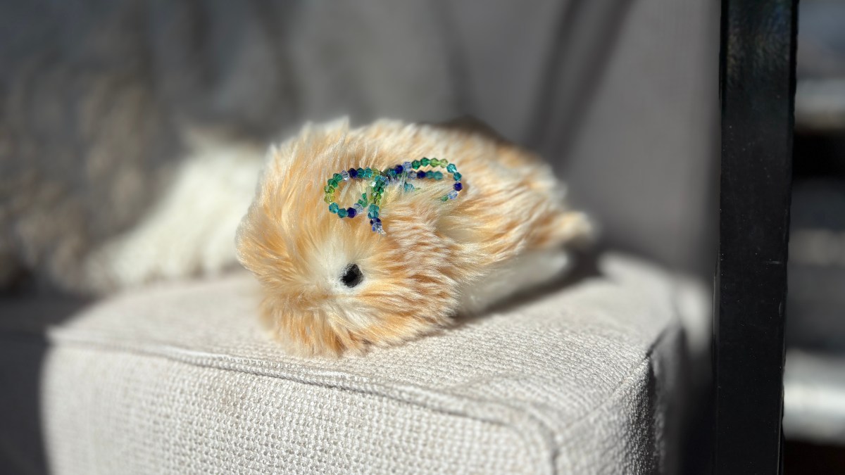 i-spent-a-month-living-with-a-$430-ai-pet,-the-casio-moflin