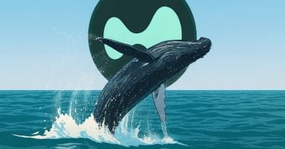 hyperunit-whale-closes-$866m-bitcoin-shorts-for-$2.38m-profit
