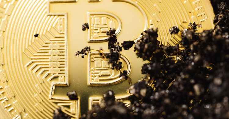 16,000-ancient-bitcoins-just-moved—and-it’s-costing-whales-billions