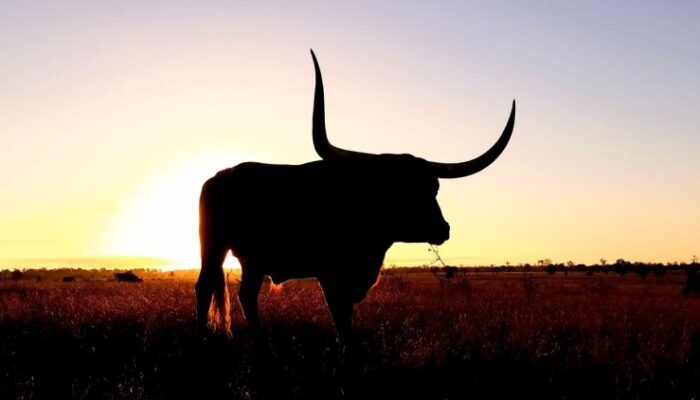 xrp-sparks-bullish-frenzy-as-top-software-dev-says-it-beats-etf-hype