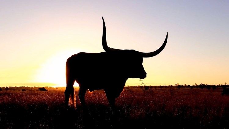 xrp-sparks-bullish-frenzy-as-top-software-dev-says-it-beats-etf-hype xrp-sparks-bullish-frenzy-as-top-software-dev-says-it-beats-etf-hype