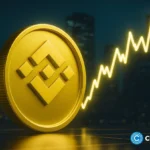 deleion-capital-is-supporting-investors-to-grow-their-bnb