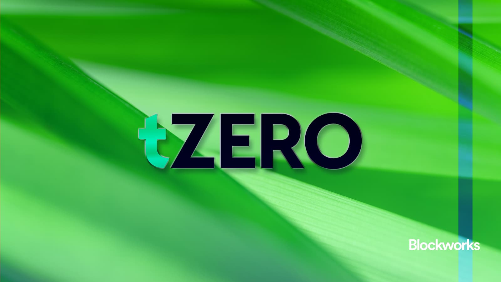 tzero-plans-ipo-to-expand-tokenized-asset-platform tzero-plans-ipo-to-expand-tokenized-asset-platform