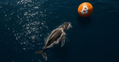 whale-deposits-$372m-usdc-into-hyperliquid,-opens-$27.7m-btc-long whale-deposits-$372m-usdc-into-hyperliquid,-opens-$27.7m-btc-long