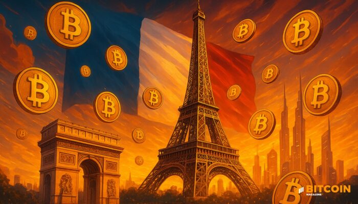france-proposes-national-bitcoin-reserve,-wants-to-buy-2%-of-bitcoin-supply