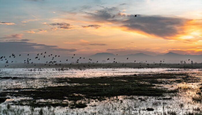 rainfall-buries-a-mega-airport-in-mexico rainfall-buries-a-mega-airport-in-mexico