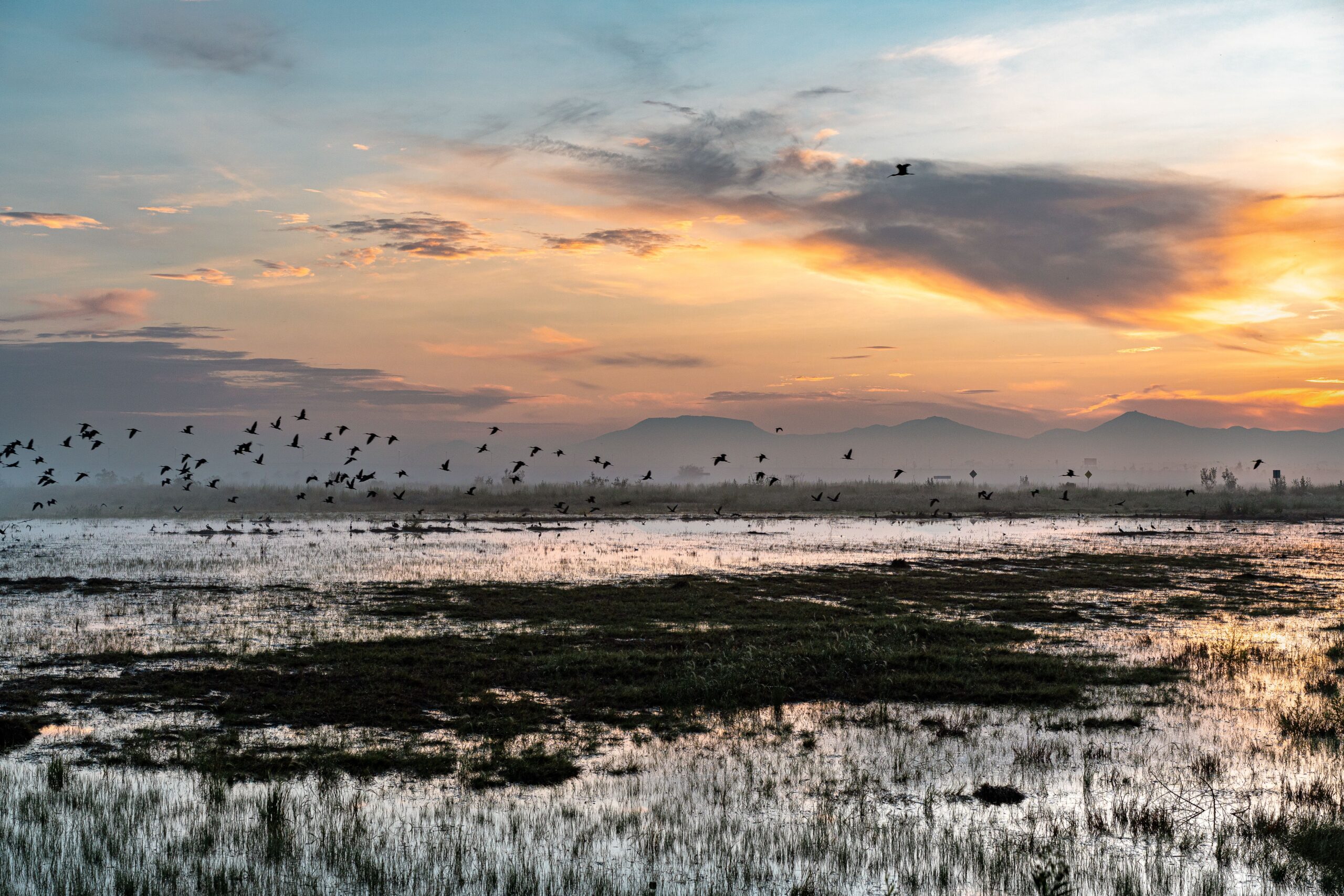 rainfall-buries-a-mega-airport-in-mexico rainfall-buries-a-mega-airport-in-mexico