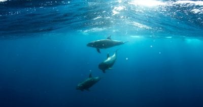 long-term-holders-sell-325,600-bitcoin-in-sharpest-monthly-drawdown-since-july-2025