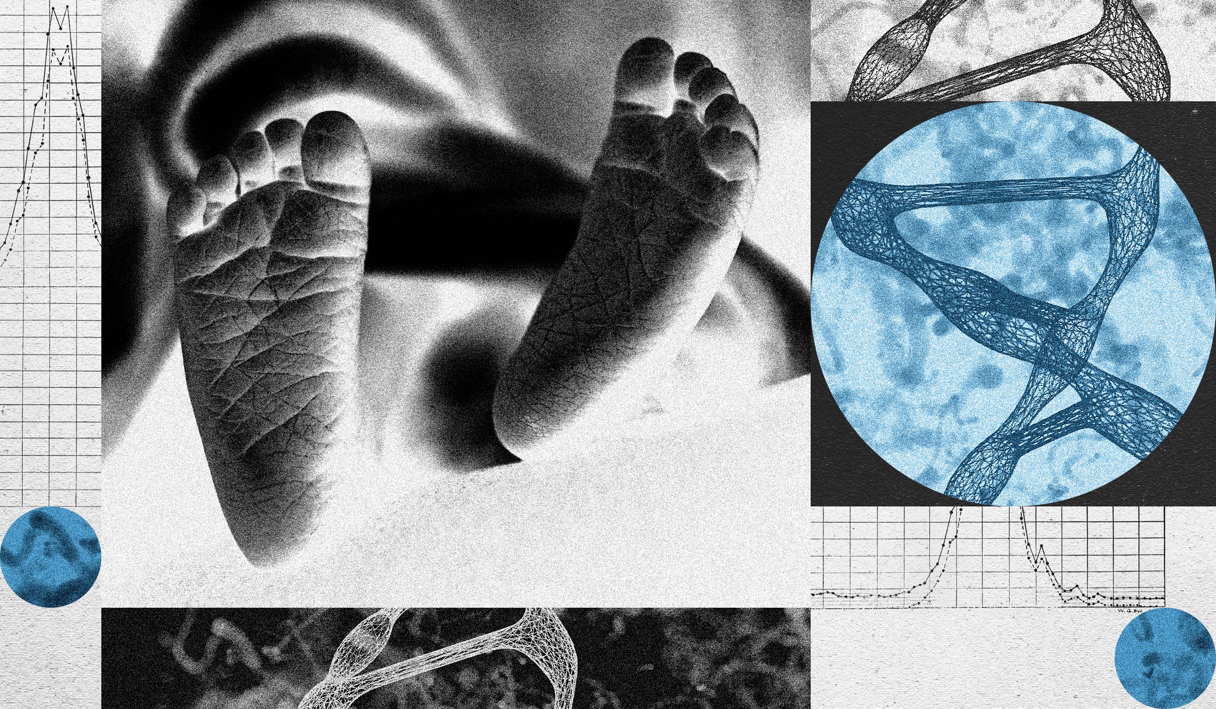 a-new-startup-wants-to-edit-human-embryos a-new-startup-wants-to-edit-human-embryos