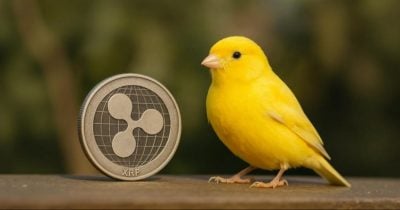 canary-funds-updates-s-1-filing-for-xrp-spot-etf,-targeting-november-13-launch canary-funds-updates-s-1-filing-for-xrp-spot-etf,-targeting-november-13-launch