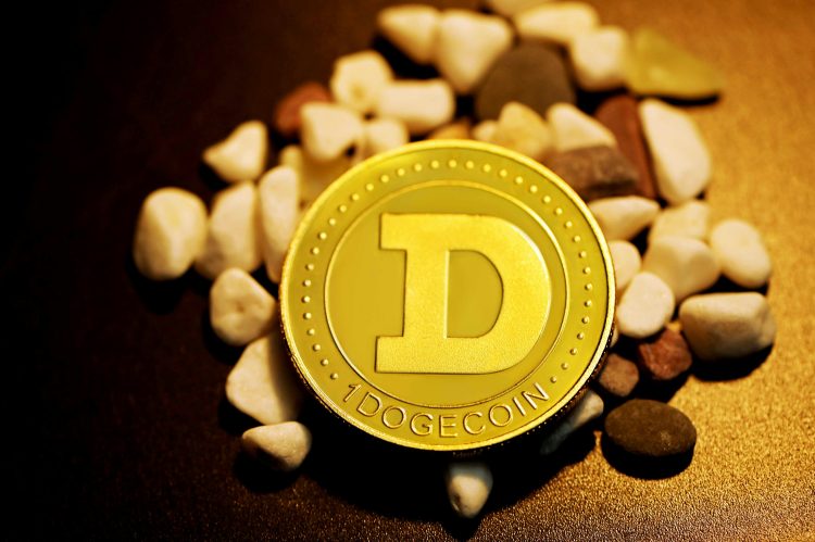 dogecoin-down-20%-–-but-some-think-this-is-when-the-real-gains-start