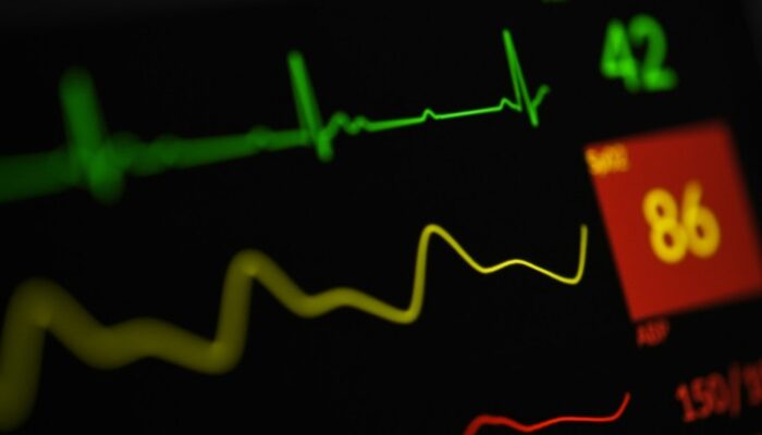 is-crypto-‘boring’-now?-bitwise-ceo-says-the-market-is-changing is-crypto-‘boring’-now?-bitwise-ceo-says-the-market-is-changing