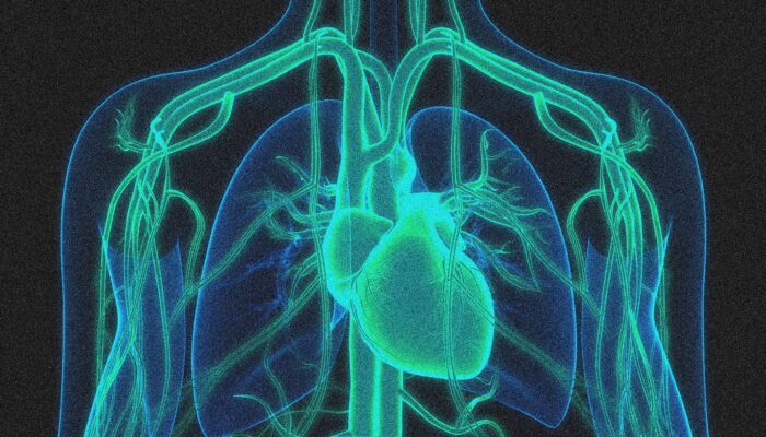 a-gene-editing-therapy-cut-cholesterol-levels-by-half