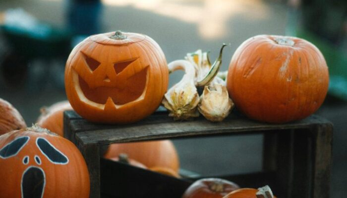 get-ready-—-the-end-of-november-will-be-massive-for-xrp,-ceo-says