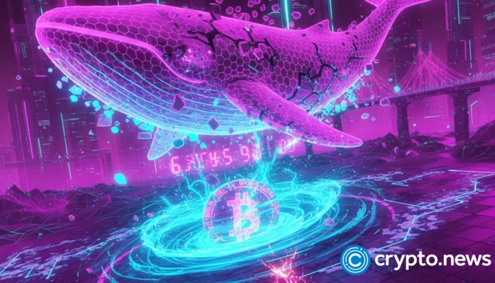 dormant cardano-wallet loses-millions in-botched-token swap