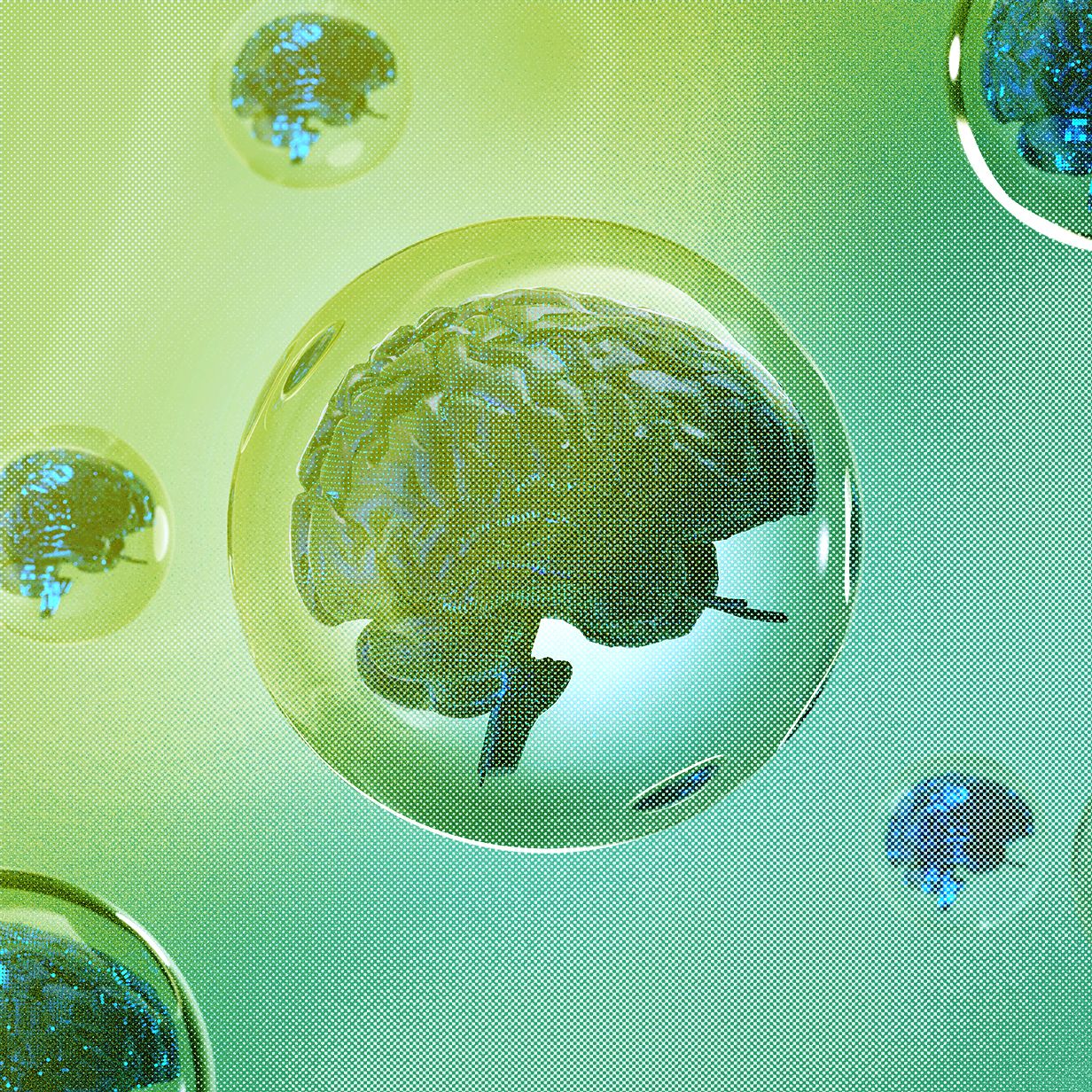 the-4-things-you-need-for-a-tech-bubble the-4-things-you-need-for-a-tech-bubble