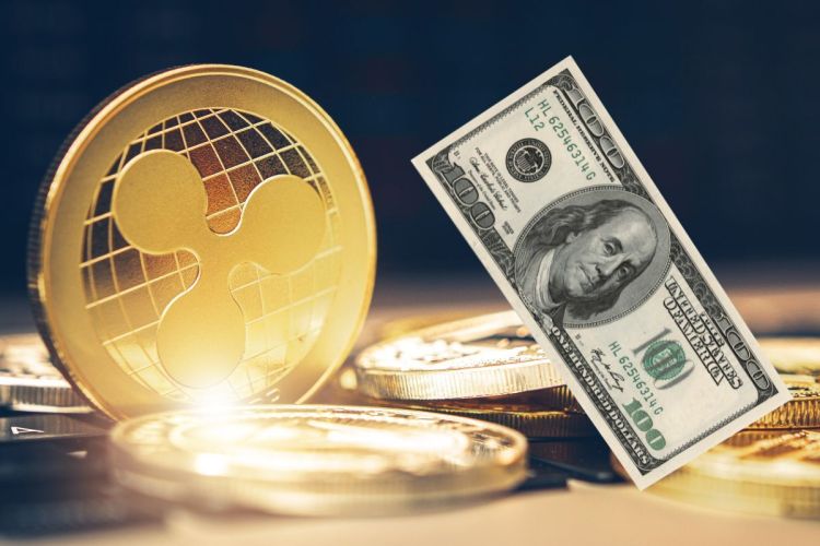 model-shows-how-xrp-could-hit-$24-after-etfs-go-live model-shows-how-xrp-could-hit-$24-after-etfs-go-live