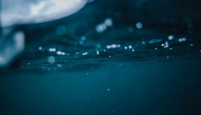 with-42%-of-xrp-holders-underwater,-analysts-say-the-altcoin-could-crash-even-further