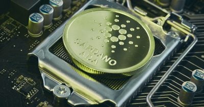 cardano-network-recovers-after-malformed-transaction-triggers-chain-partition