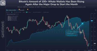 santiment-observes-surge-in-bitcoin-wallets-holding-100-btc