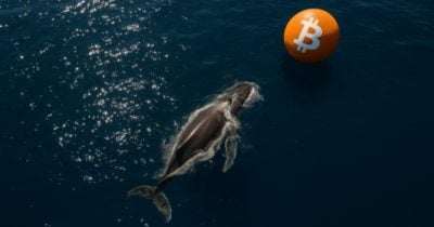 dormant-bitcoin-whale-sells-after-nearly-3-years,-realizes-$12.5m-profit