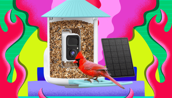 birdfy-smart-bird-feeders-are-the-cheapest-they’ve-been-all-year-on-amazon-right-now