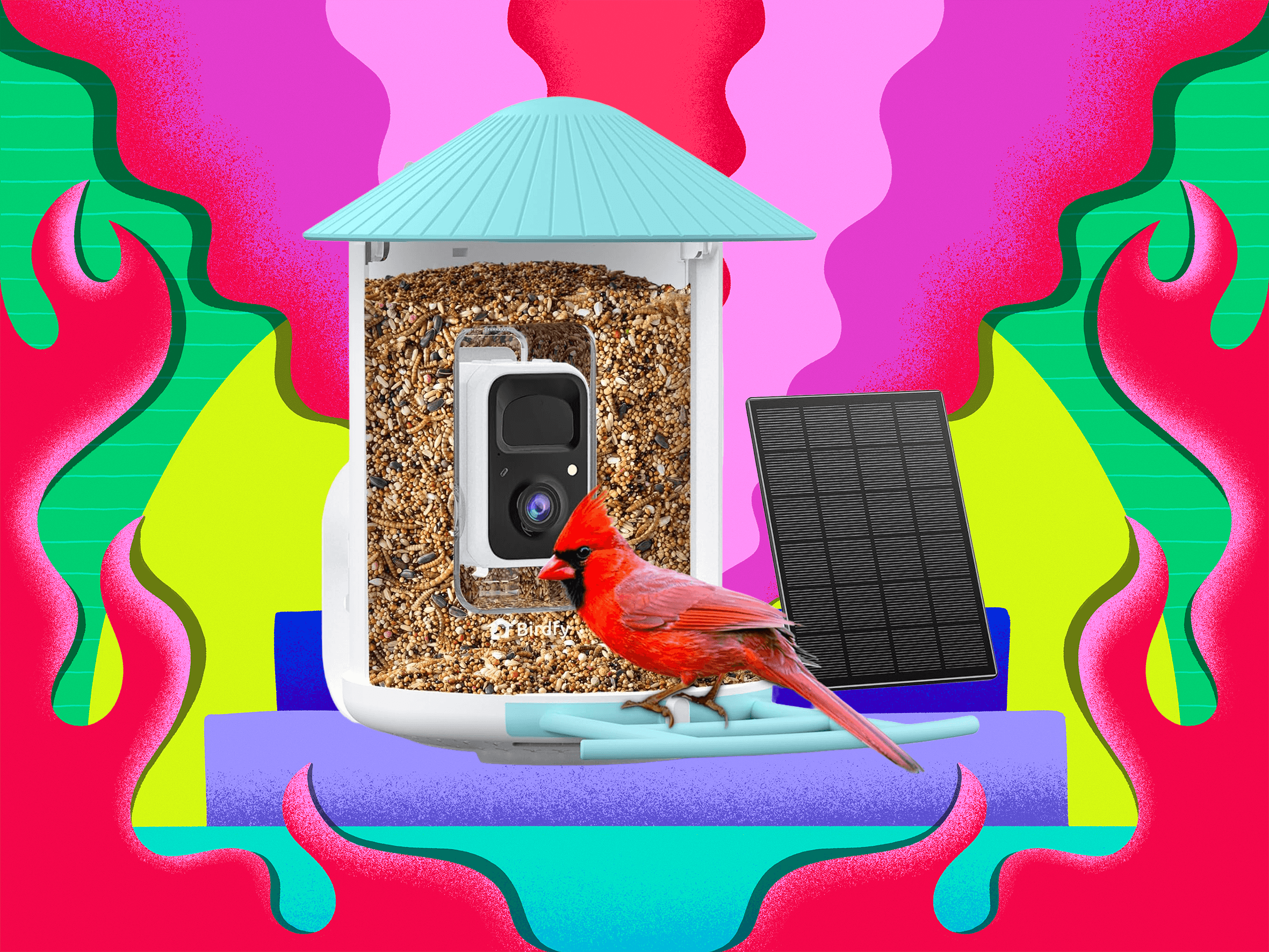 birdfy-smart-bird-feeders-are-the-cheapest-they’ve-been-all-year-on-amazon-right-now