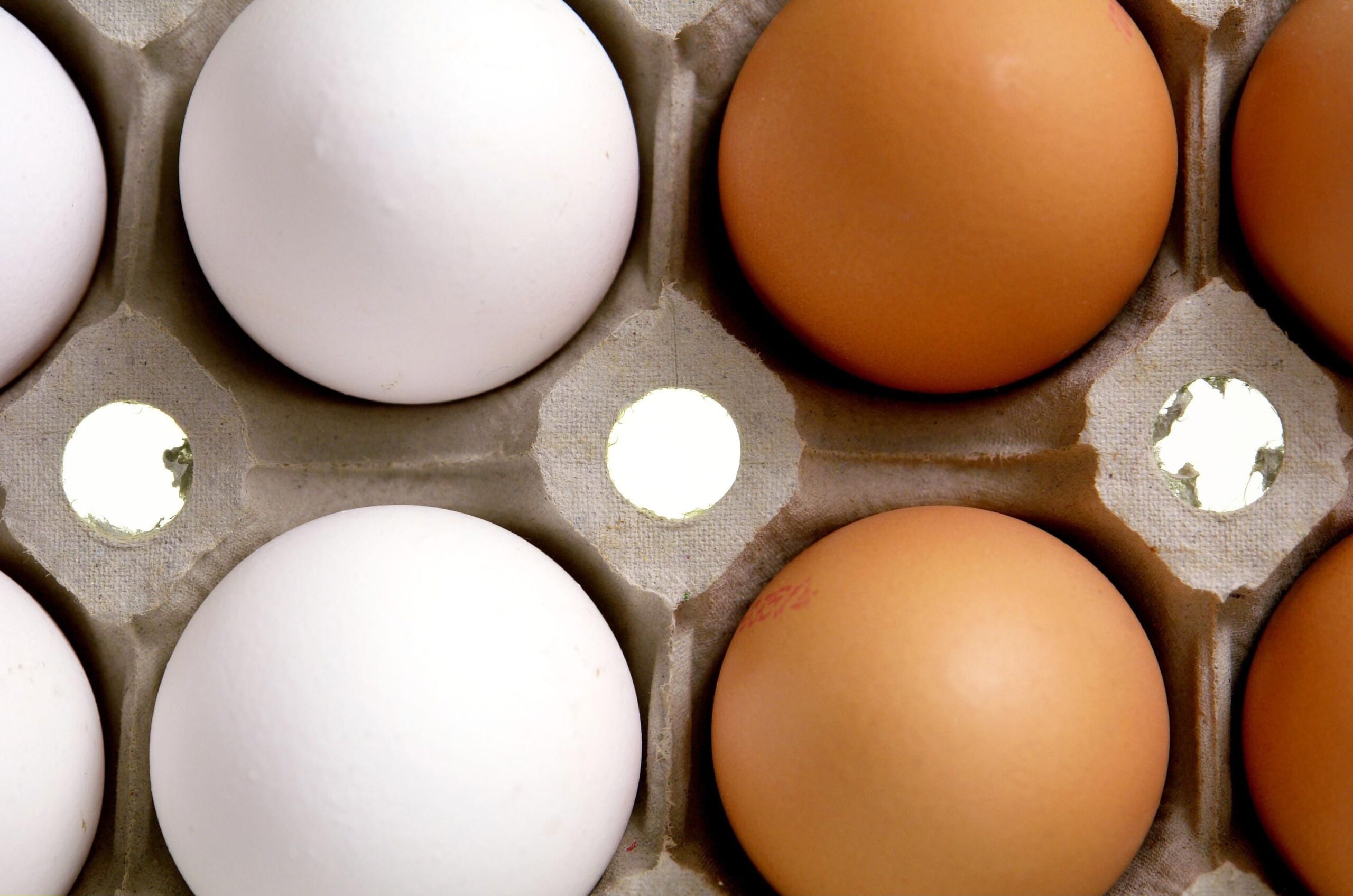 your-data-might-determine-how-much-you-pay-for-eggs