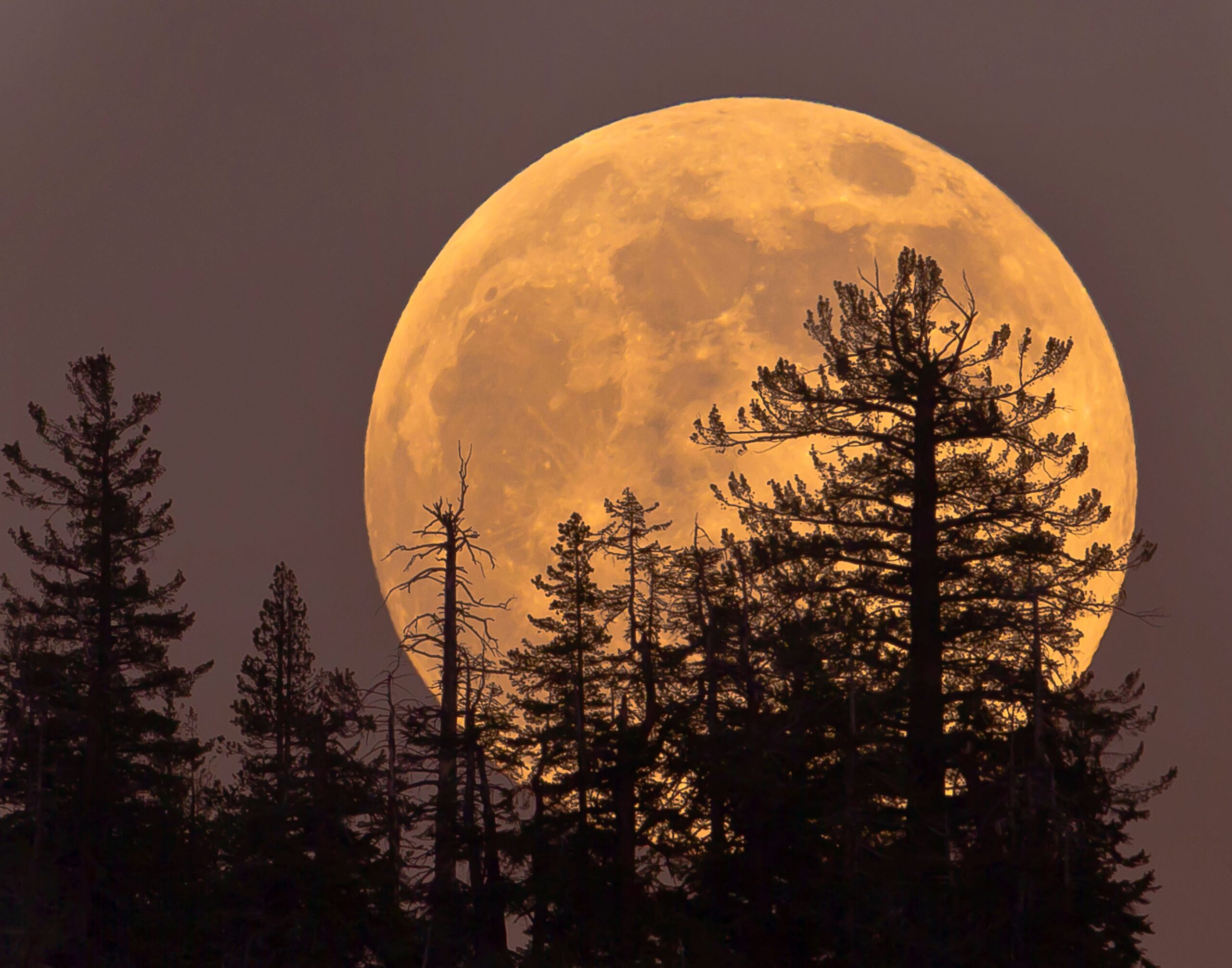 thursday’s-cold-moon-is-the-last-supermoon-of-the-year.-here’s-how-and-when-to-view-it