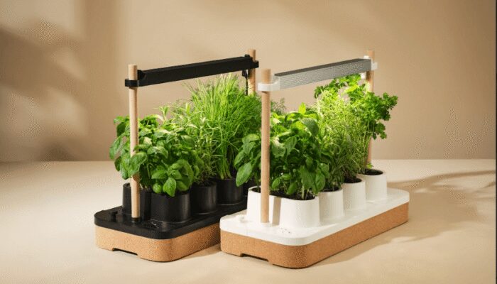 it’s-not-too-late!-the-auk-herb-planter-is-still-on-sale