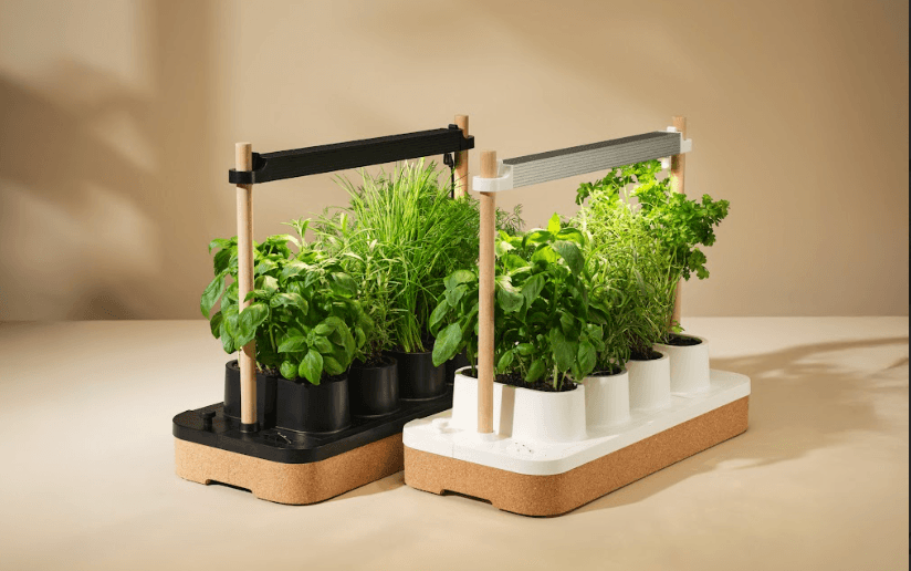 it’s-not-too-late!-the-auk-herb-planter-is-still-on-sale it’s-not-too-late!-the-auk-herb-planter-is-still-on-sale