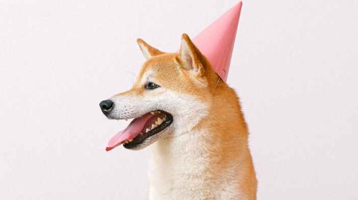 dogecoin’s-dozen-years:-king-of-meme-coins-marks-12th-birthday-in-rough-markets dogecoin’s-dozen-years:-king-of-meme-coins-marks-12th-birthday-in-rough-markets
