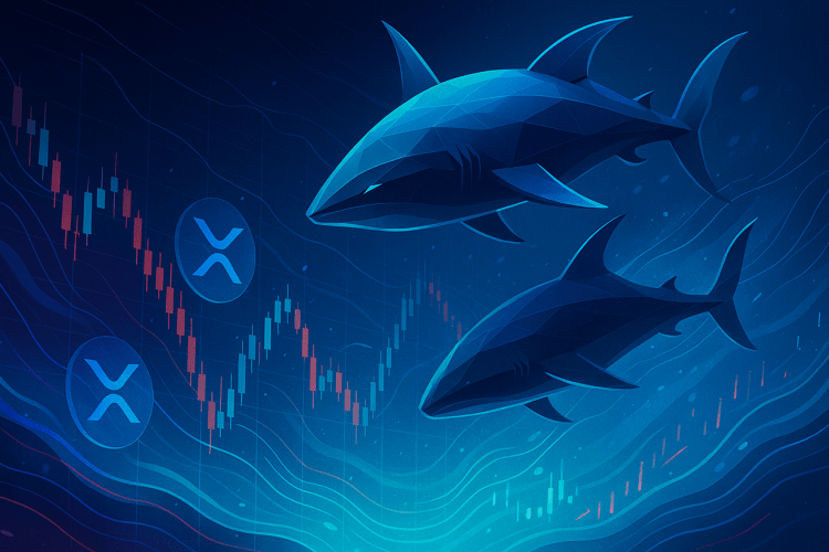 xrp-selloff:-whales-shed-coins-worth-$1-billion-in-a-week xrp-selloff:-whales-shed-coins-worth-$1-billion-in-a-week
