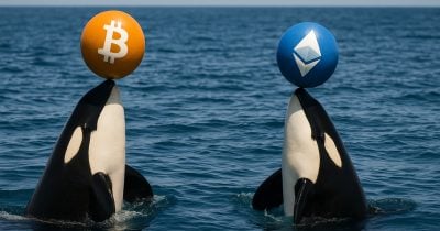 long-dormant-eth-wallet-and-major-btc-holders-move-funds-before-fed-meeting long-dormant-eth-wallet-and-major-btc-holders-move-funds-before-fed-meeting